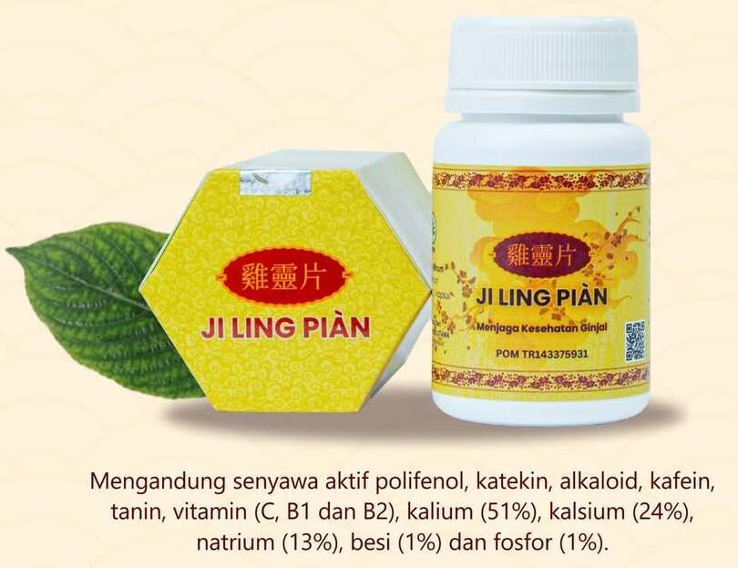 Keji Beling Kandungan utama kapsul Ji Ling Pian #GinjalSehat #HidupSehat #JiLingPian (1)